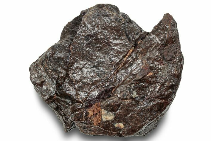 Chondrite Meteorite ( g) - Western Sahara Desert #247557